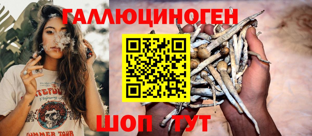 Михайловск  Галлюциногенные грибы GOLDEN TEACHER  Псилоцибиновые грибы Psilocybine cubensis  Вход с VPN 